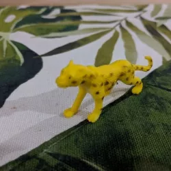 Cheetah