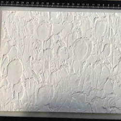 Color Lithophane Tulips
