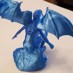 Dragon Wing Girl