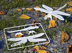 Dragonfly Gift Card Toy