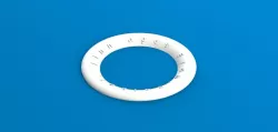 Frisbee (CFE)