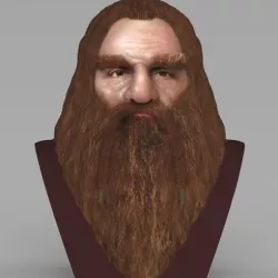 Gimli Lord of the Rings bust full color 3D printing ready