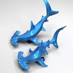 Hammerhead shark
