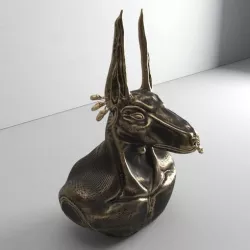 Head of God Annubis