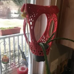 Heart shaped plant hanging system - Veroni-ized