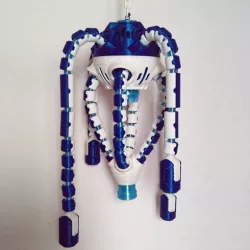Jell-E Medusa: The Engineer