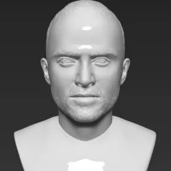 Jesse Pinkman Breaking Bad bust 3D printing ready stl obj