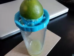 Lemon and Lime juice