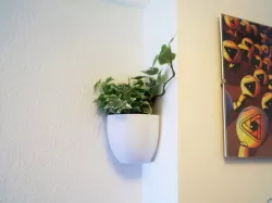 Little Planter
