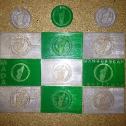 Madagascar Institute Logo Card