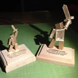 Minecraft Tournament Trophy