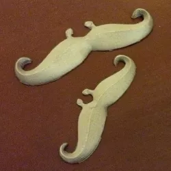 Moustaches are in on movember!