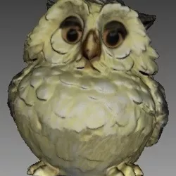 Owl
