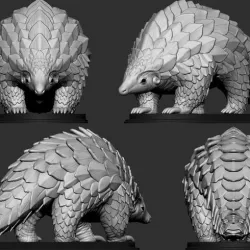 Pangolin
