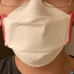 Paper Towel Face Mask
