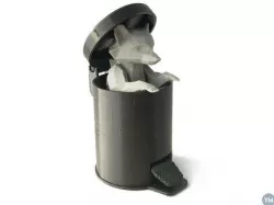 Raccoon in Pedal Bin