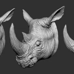 Rhino Head