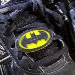 School Shoelace Badges
