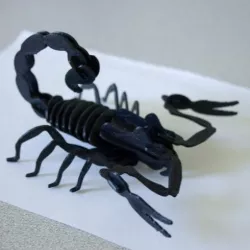 Scorpion