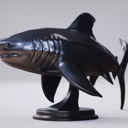Shark