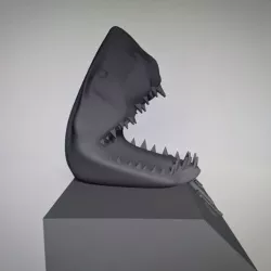 Shark 3d