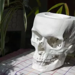 skull ashtray