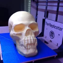 Skull with Pointed Teeth