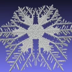 Snowflakes from Gravner-Griffeath simulation