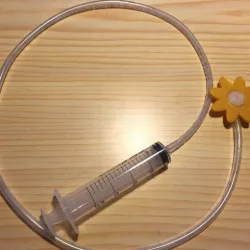 Squirting clown flower