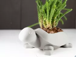 Turtle Planter