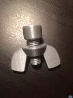 Wingnut and bolt