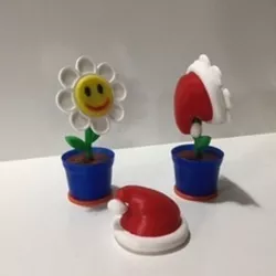 1 Flower in Pot