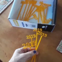 2019 New Years Party Picks and Swizzle Sticks