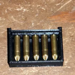 .22 Caliber Long Rifle Ammo Case