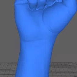 3d scan hand fist