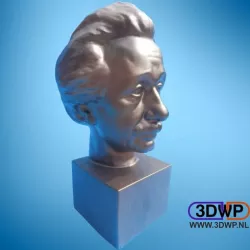 Albert Einstein Bust 3D Scan
