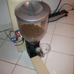 Automated Cat Feeder