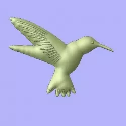bird