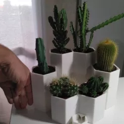 Cactus pot with water reserve