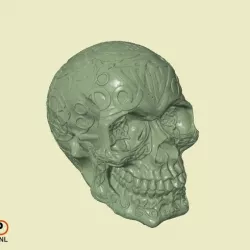 Celtic Skull (Hollow)