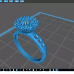 cluster ring