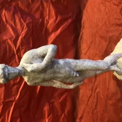 David Statue From Goonies. Member is upside down.
