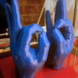 Doubleplusgood -- Hands 'Okay' Pair, with Lefty Version