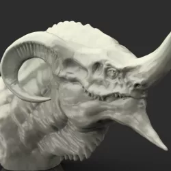 Dragon Konig