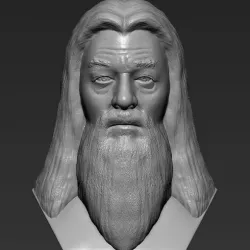 Dumbledore from Harry Potter bust 3D printing ready stl obj