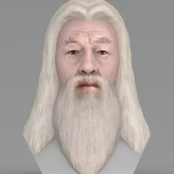 Dumbledore from Harry Potter bust for full color 3D printing
