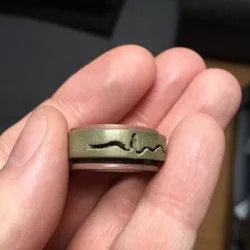 ECG spinner Ring