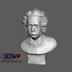 Einstein Sculpture (Bust 3D Scan)