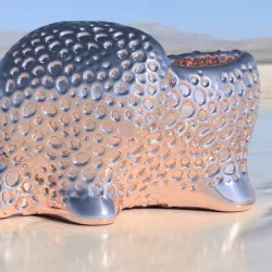 Elephant dryer (closed voronoi)