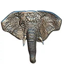 Elephant during